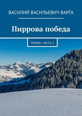 Василий Варга Пиррова победа. Роман. Часть 2 обложка книги