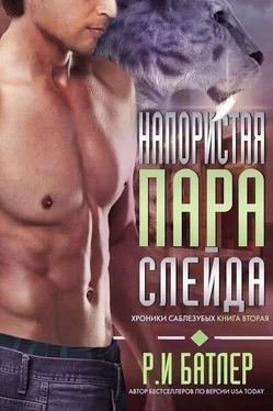 Р. И. Батлер Напористая пара Слейда (ЛП) обложка книги