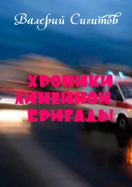 Валерий Сигитов Хроники линейной бригады обложка книги