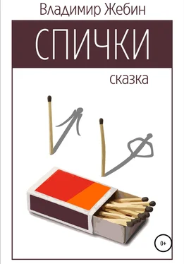 Владимир Жебин Спички обложка книги