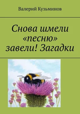 Валерий Кузьминов Снова шмели «песню» завели! Загадки обложка книги