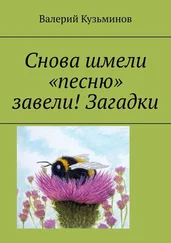 Валерий Кузьминов - Снова шмели «песню» завели! Загадки