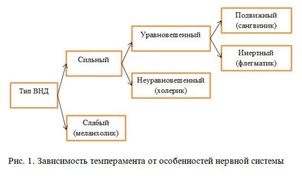 Иллюстрация 8 Зависимость темперамента от особенностей нервной системы - фото 8