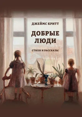 Джеймс Критт Добрые люди. Стихи и рассказы обложка книги