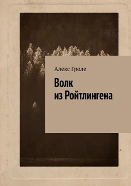 Алекс Гроле Волк из Ройтлингена обложка книги