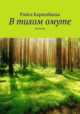 Райса Каримбаева В тихом омуте. Детектив обложка книги