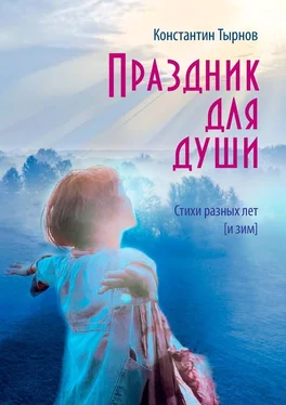 Константин Тырнов Праздник для души. Стихи разных лет (и зим) обложка книги