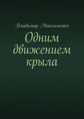 Владимир Максименко - Одним движением крыла