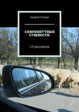 Андрей Саенко Сиюминутные сущности. 15 рассказов обложка книги