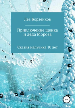 Лев Борзенков Приключение щенка и Деда Мороза. Сказка мальчика 10 лет обложка книги