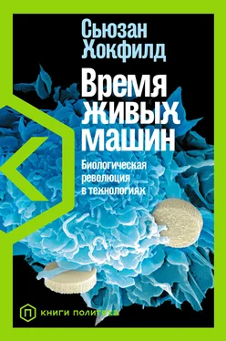 Сьюзан Хокфилд Время живых машин. Биологическая революция в технологиях обложка книги