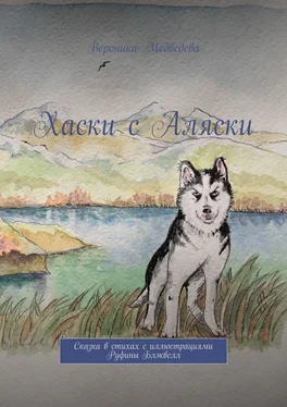 Вероника Медведева Хаски с Аляски. Сказка в стихах с иллюстрациями Руфины Блэквелл обложка книги