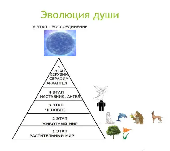 Рисунок1 Эволюция Души Энергетическая конструкция человека Энергетическая - фото 1