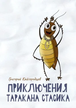 Григорий Кайгородцев Приключения таракана Стасика. Детская сказка про тараканчика обложка книги