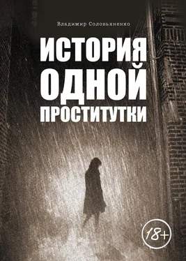 Владимир Соловьяненко История одной проститутки обложка книги