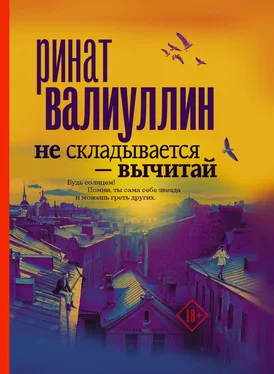 Ринат Валиуллин Не складывается – вычитай обложка книги