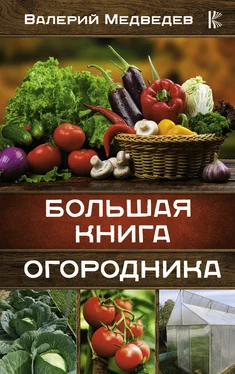 Валерий Медведев Большая книга огородника обложка книги
