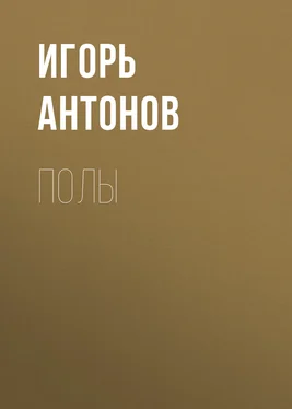 Игорь Антонов Полы обложка книги