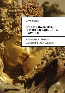 Джая Будда Синерведа-тантра – психосексуальность будущего. Библиотека проекта «Синергический буддизм» обложка книги