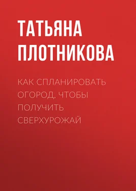 Татьяна Плотникова Как спланировать огород, чтобы получить сверхурожай обложка книги