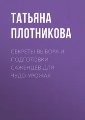 Татьяна Плотникова - Секреты выбора и подготовки саженцев для чудо-урожая