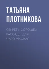 Татьяна Плотникова - Секреты хорошей рассады для чудо-урожая