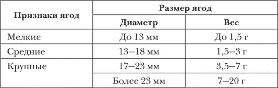 2 Форма рис 7 3 Цвет кожицы и сока В первом случае они бывают - фото 7
