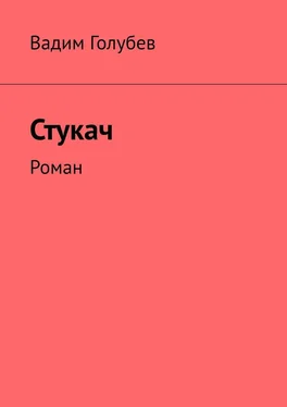 Вадим Голубев Стукач. Роман обложка книги