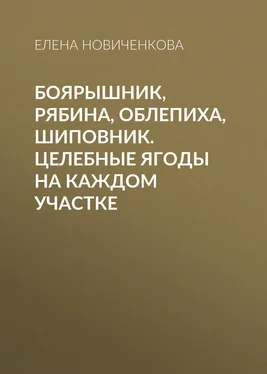 Елена Новиченкова Боярышник, рябина, облепиха, шиповник. Целебные ягоды на каждом участке обложка книги