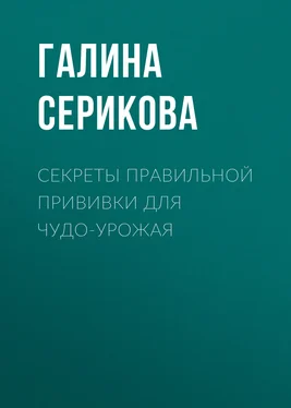 Галина Серикова Секреты правильной прививки для чудо-урожая обложка книги