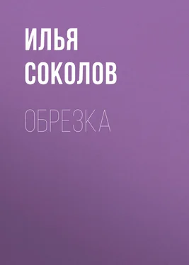 Илья Соколов Обрезка обложка книги