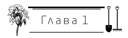 Распространение культуры Виноград это многолетнее высокопластичное древесное - фото 1