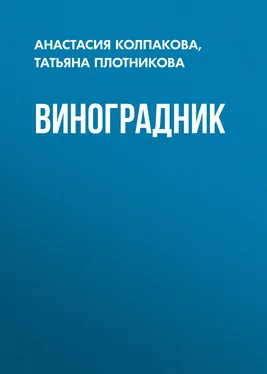 Татьяна Плотникова Виноградник обложка книги