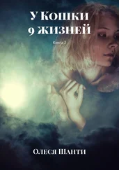 Олеся Шанти - У Кошки 9 жизней. Книга 2