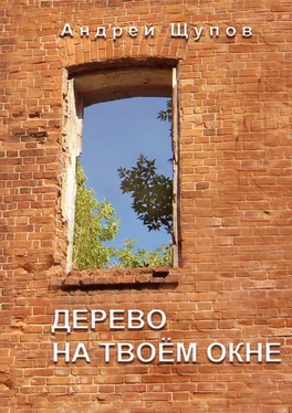Андрей Щупов Дерево на твоем окне обложка книги