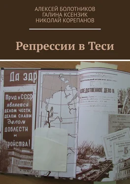 Алексей Болотников Репрессии в Теси обложка книги