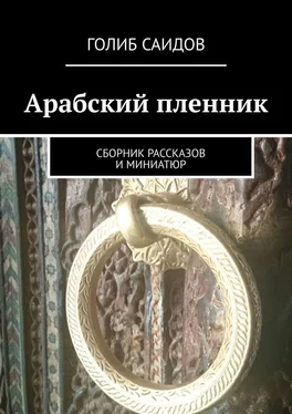 Голиб Саидов Арабский пленник. Сборник рассказов и миниатюр обложка книги