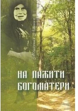Лариса Некрашевич На пажити Богоматери. Монахиня Алипия обложка книги