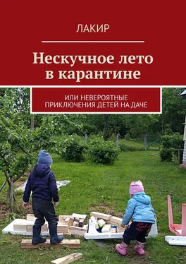 Лакир Нескучное лето в карантине. Или невероятные приключения детей на даче обложка книги