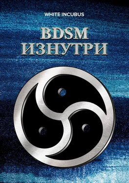 White Incubus BDSM изнутри обложка книги