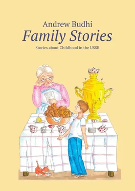 Andrew Budhi Family Stories. Stories about Childhood in the USSR обложка книги