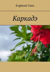 Evghenii Gutu - Каркадэ
