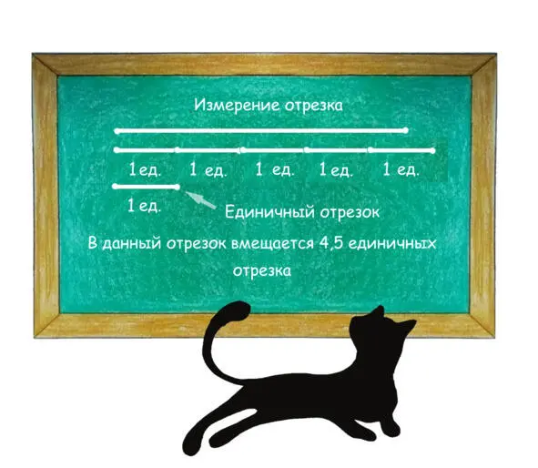 Я измеряла длину стола с помощью единичного отрезка Длина моего стола - фото 59
