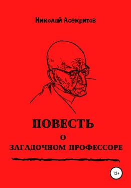 Николай Асекритов Повесть о загадочном профессоре обложка книги