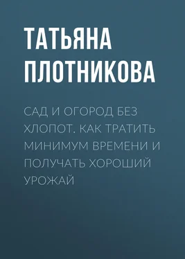 Татьяна Плотникова Сад и огород без хлопот. Как тратить минимум времени и получать хороший урожай обложка книги