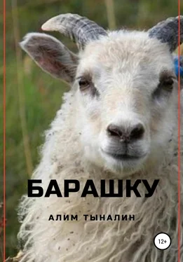 Алим Тыналин Барашку обложка книги