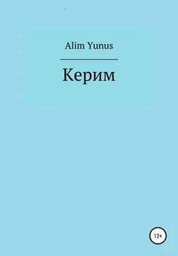 Alim Yunus Керим обложка книги