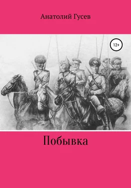 Анатолий Гусев Побывка обложка книги