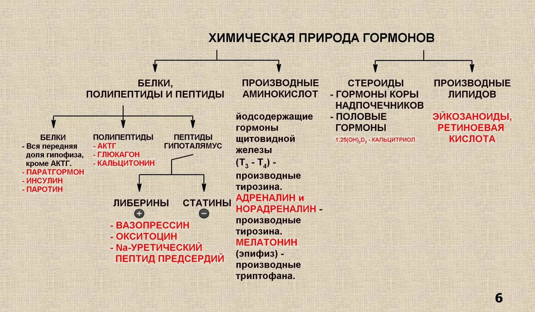 Гормоны по механизму передачи сигнала в клетку Гормоны гипоталямуса - фото 2