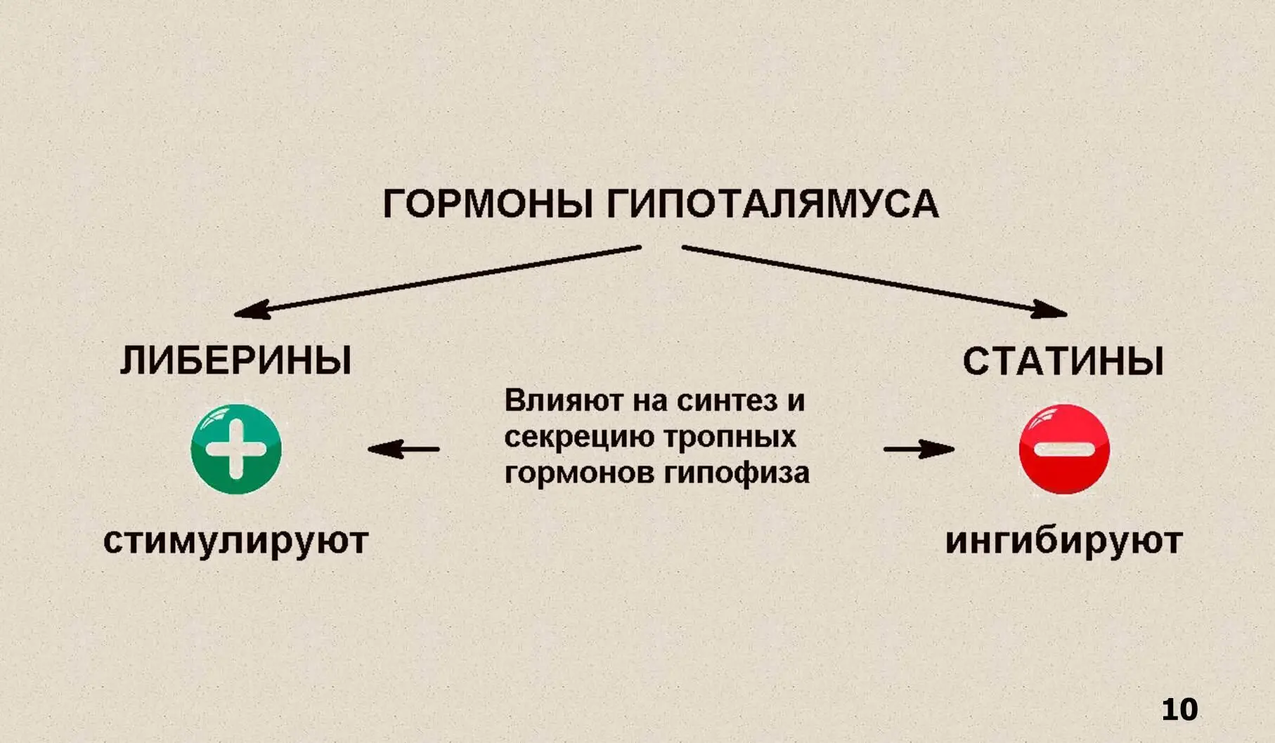 Механизм действия этих гормонов связан с повышением концентрации 3 5цАМФ и - фото 4